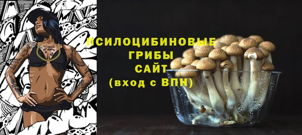 амф Белокуриха
