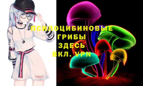 амф Белокуриха