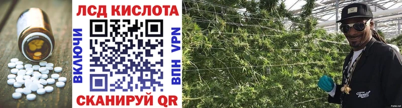 Лсд 25 экстази кислота  что такое наркотик  Кушва 