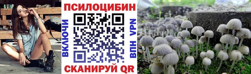 маркетплейс состав  как найти наркотики  Кушва  Галлюциногенные грибы ЛСД 